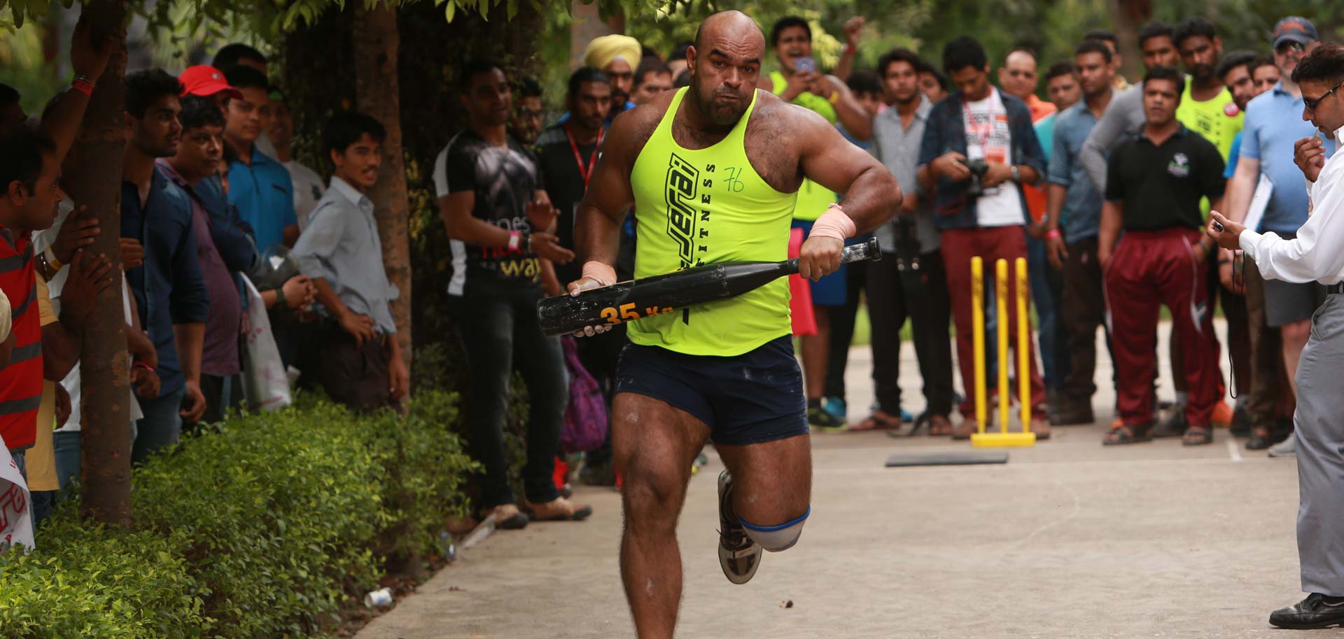giantbatrun